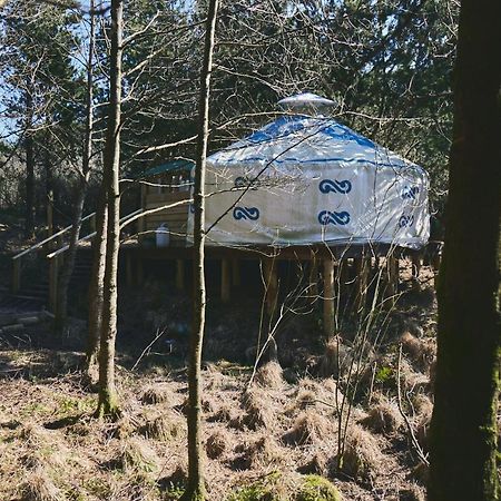 Elf Yurt - Yurtopia Otel Aberystwyth Dış mekan fotoğraf