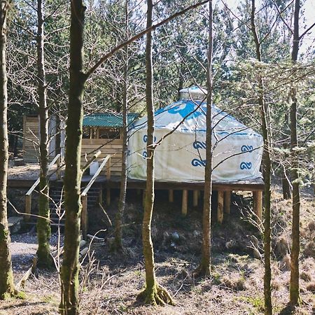 Elf Yurt - Yurtopia Otel Aberystwyth Dış mekan fotoğraf