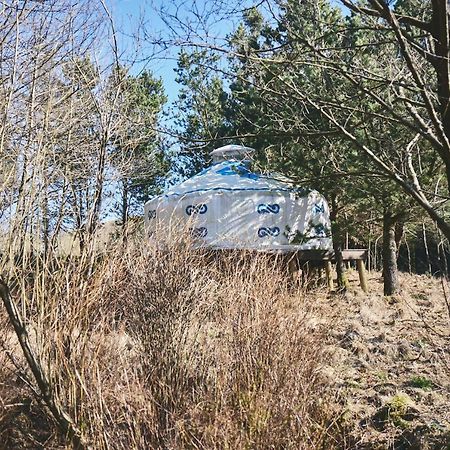 Elf Yurt - Yurtopia Otel Aberystwyth Dış mekan fotoğraf