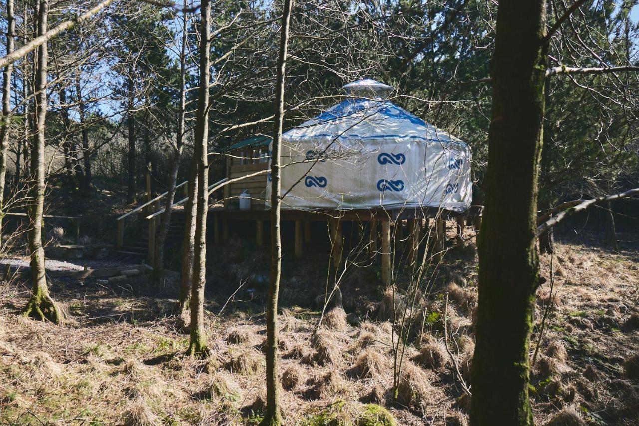 Elf Yurt - Yurtopia Otel Aberystwyth Dış mekan fotoğraf