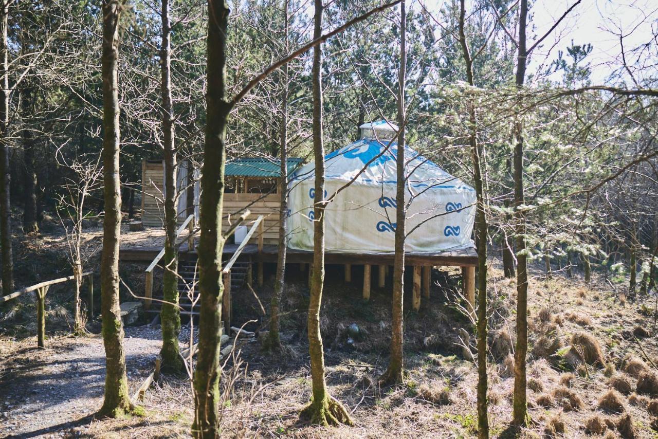 Elf Yurt - Yurtopia Otel Aberystwyth Dış mekan fotoğraf