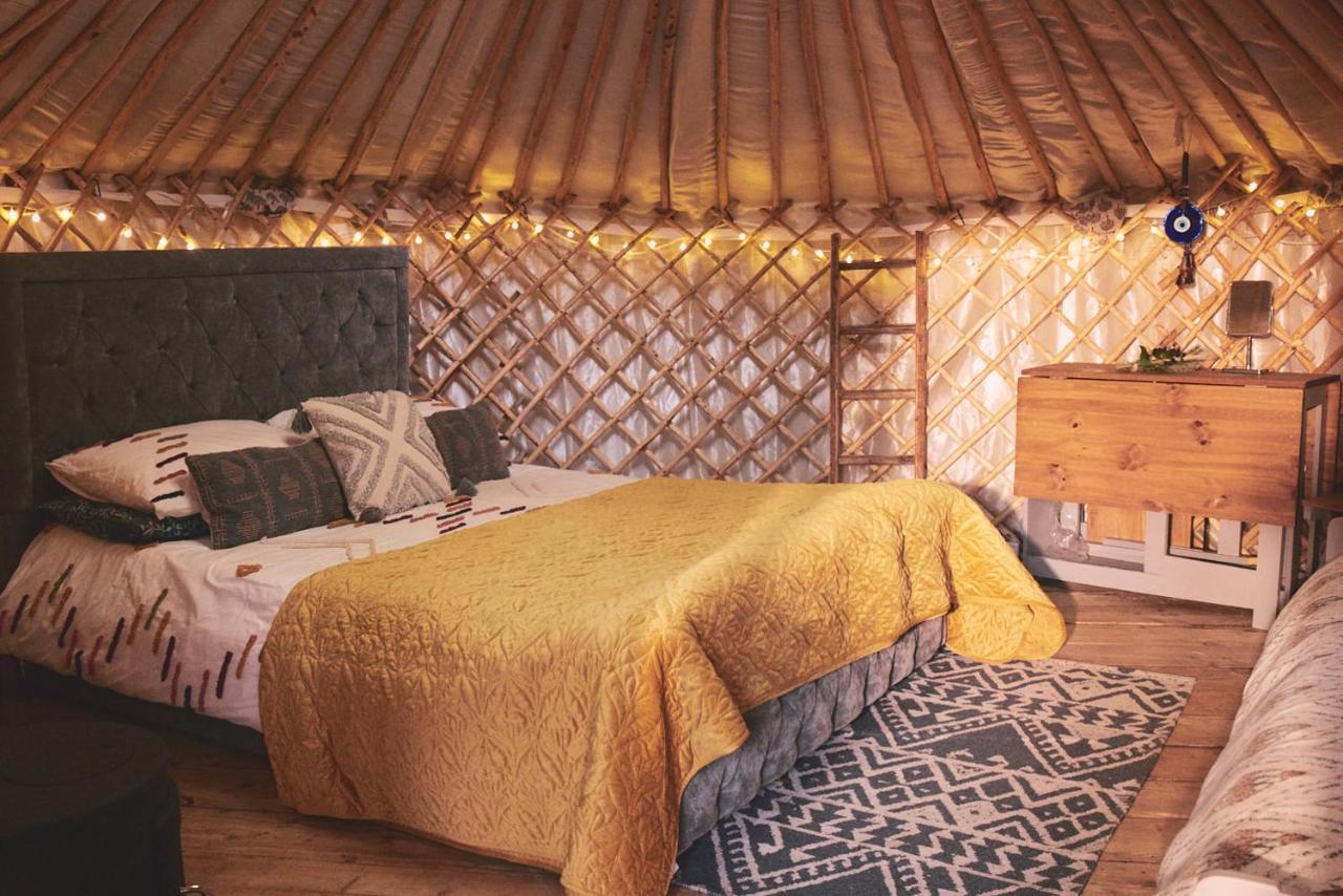 Elf Yurt - Yurtopia Otel Aberystwyth Dış mekan fotoğraf