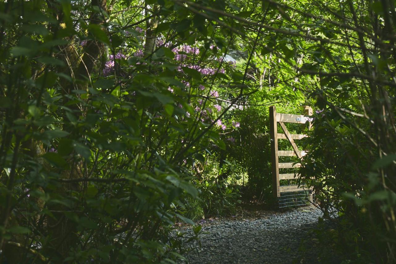 Elf Yurt - Yurtopia Otel Aberystwyth Dış mekan fotoğraf