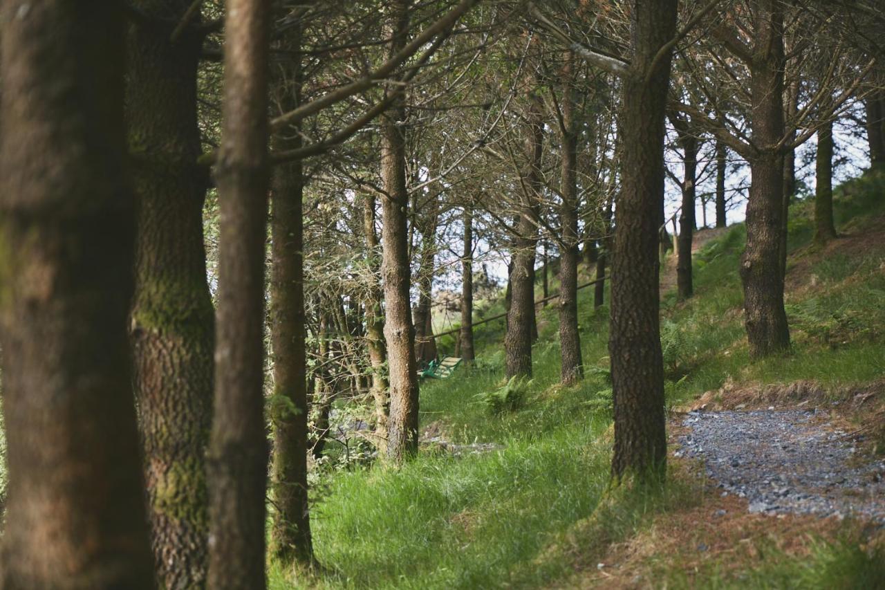 Elf Yurt - Yurtopia Otel Aberystwyth Dış mekan fotoğraf